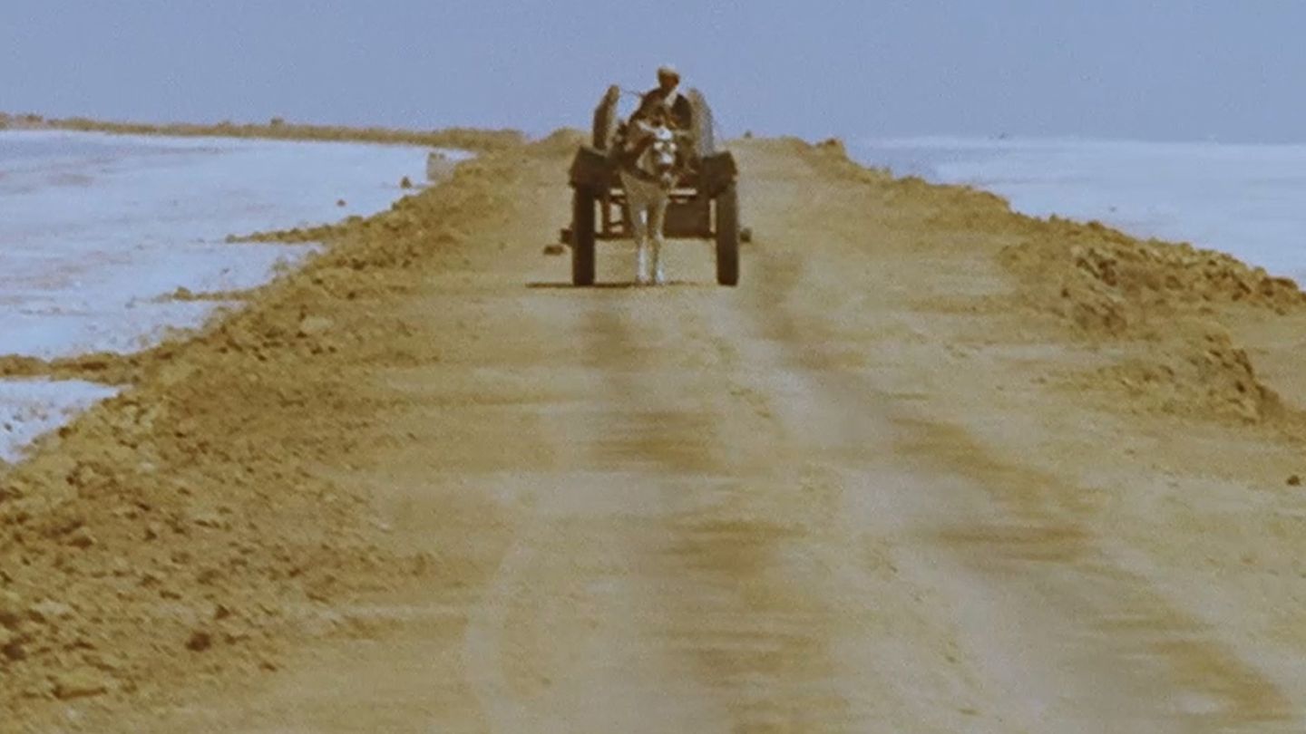 L'Afrique fantôme de Werner Herzog