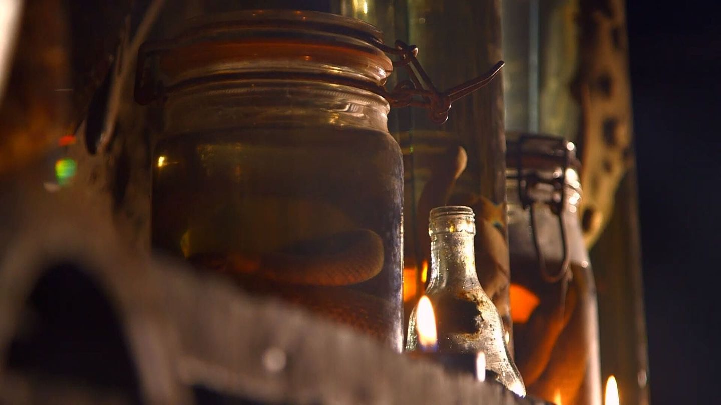 Les grands crimes de l'Histoire