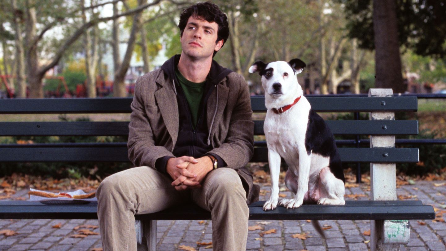 Toi, moi... et mon chien
