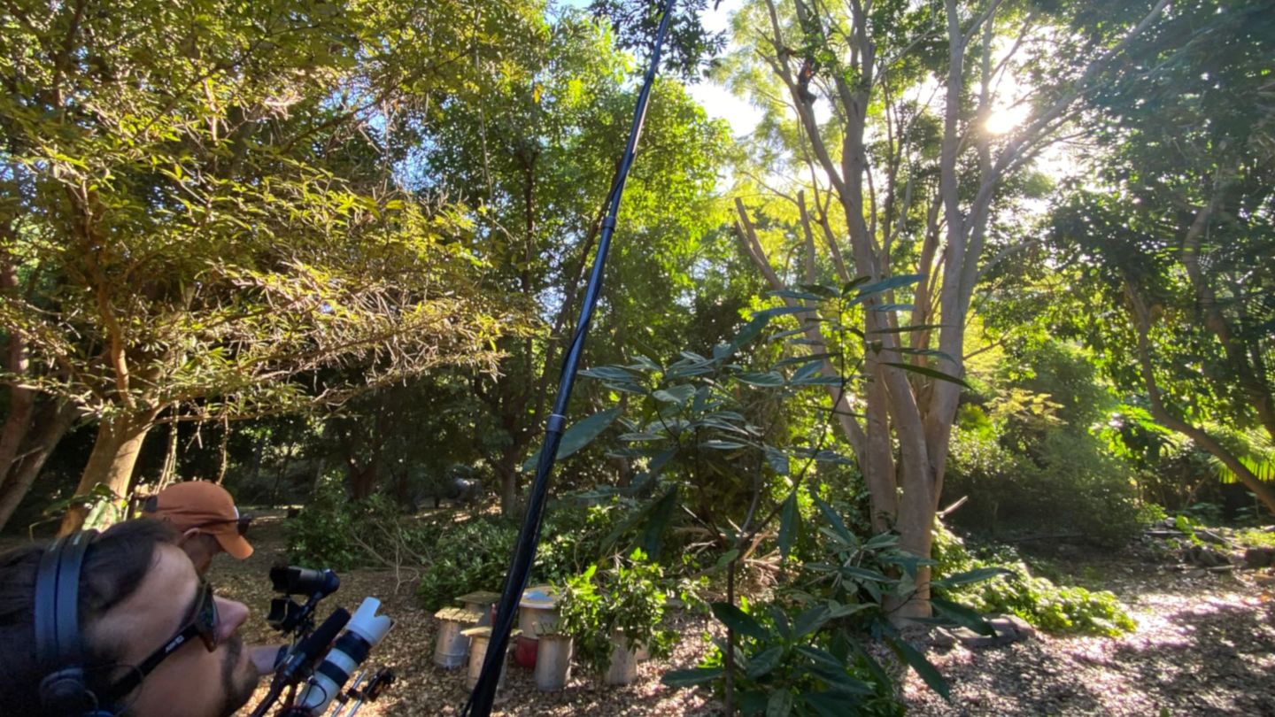 La Réunion, le renouveau des jardins créoles