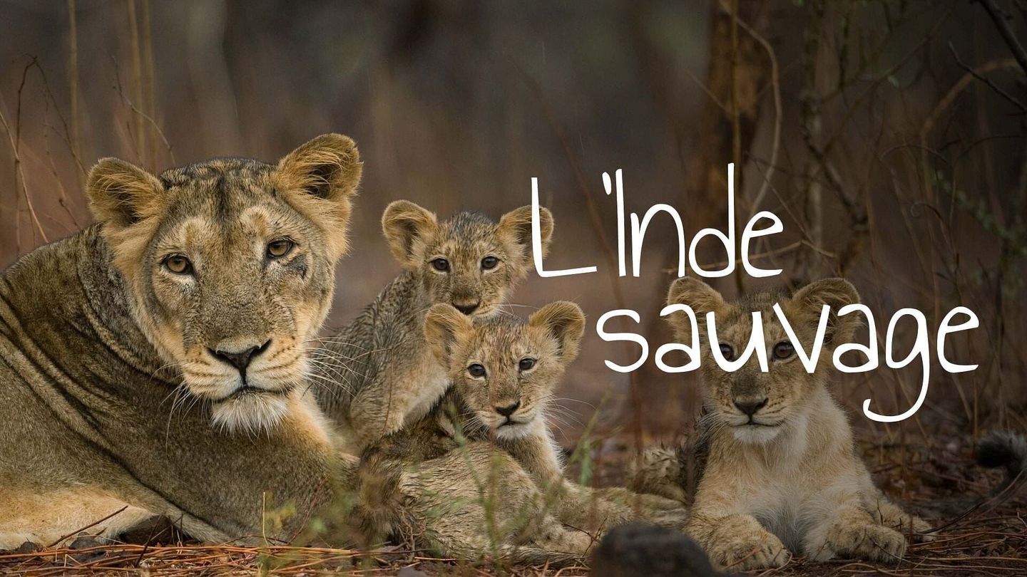 L'Inde sauvage