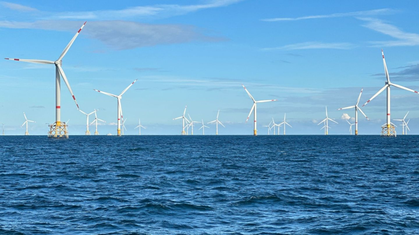 Les éoliennes en mer, quelle cohabitation avec la nature ?