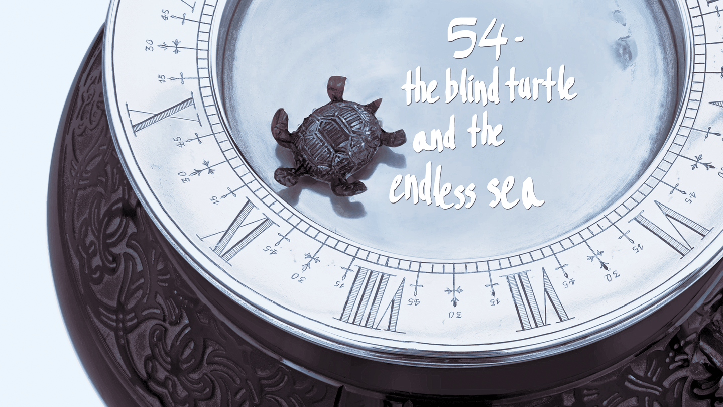 The Blind Turtle and the Endless Sea