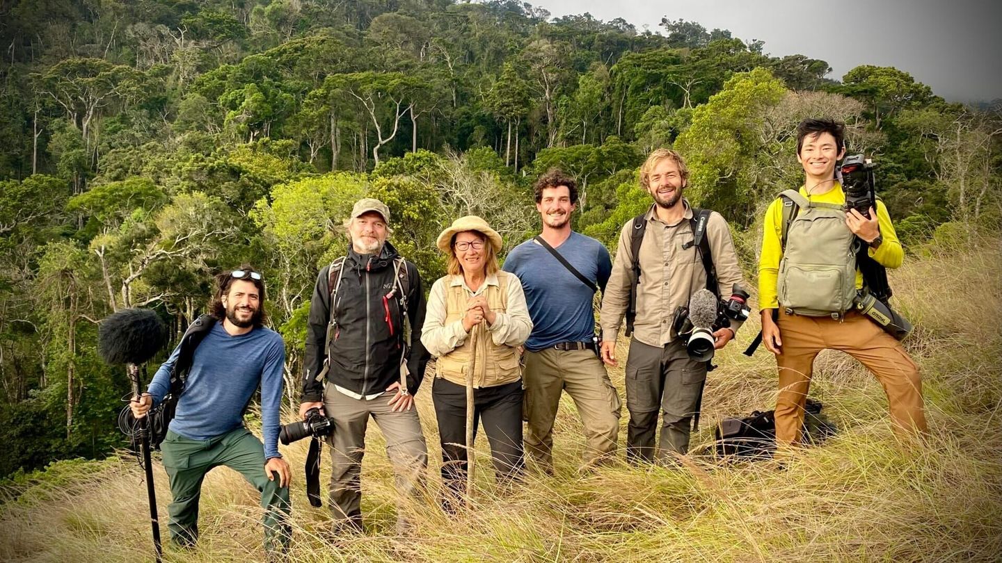 Ivohiboro, la forêt oubliée