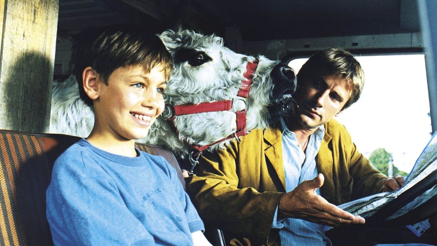 La vache et le président