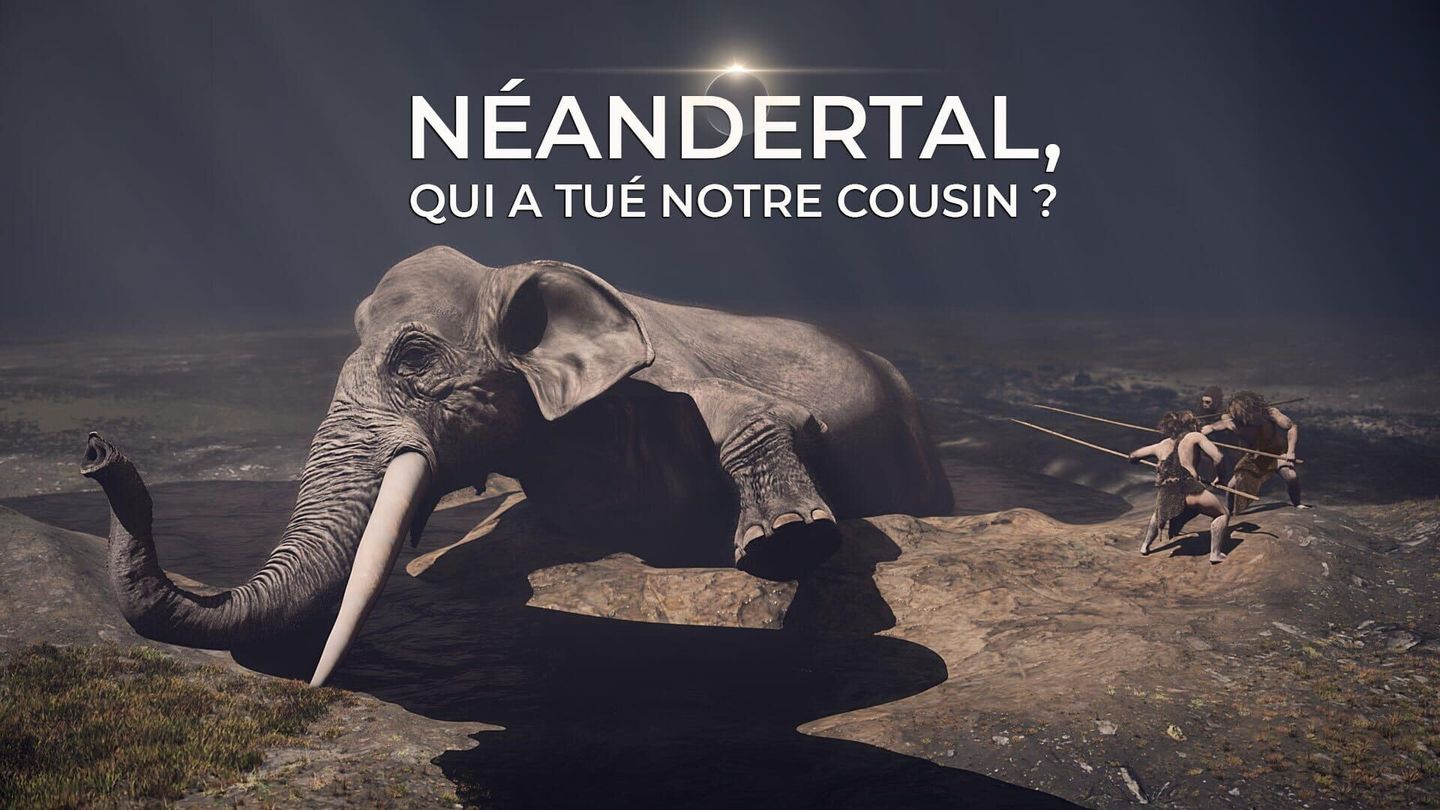 Néandertal : qui a tué notre cousin ?