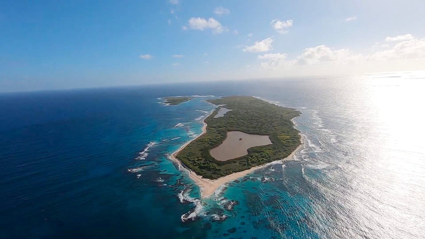 La vie sauvage des monuments aux Petites Antilles