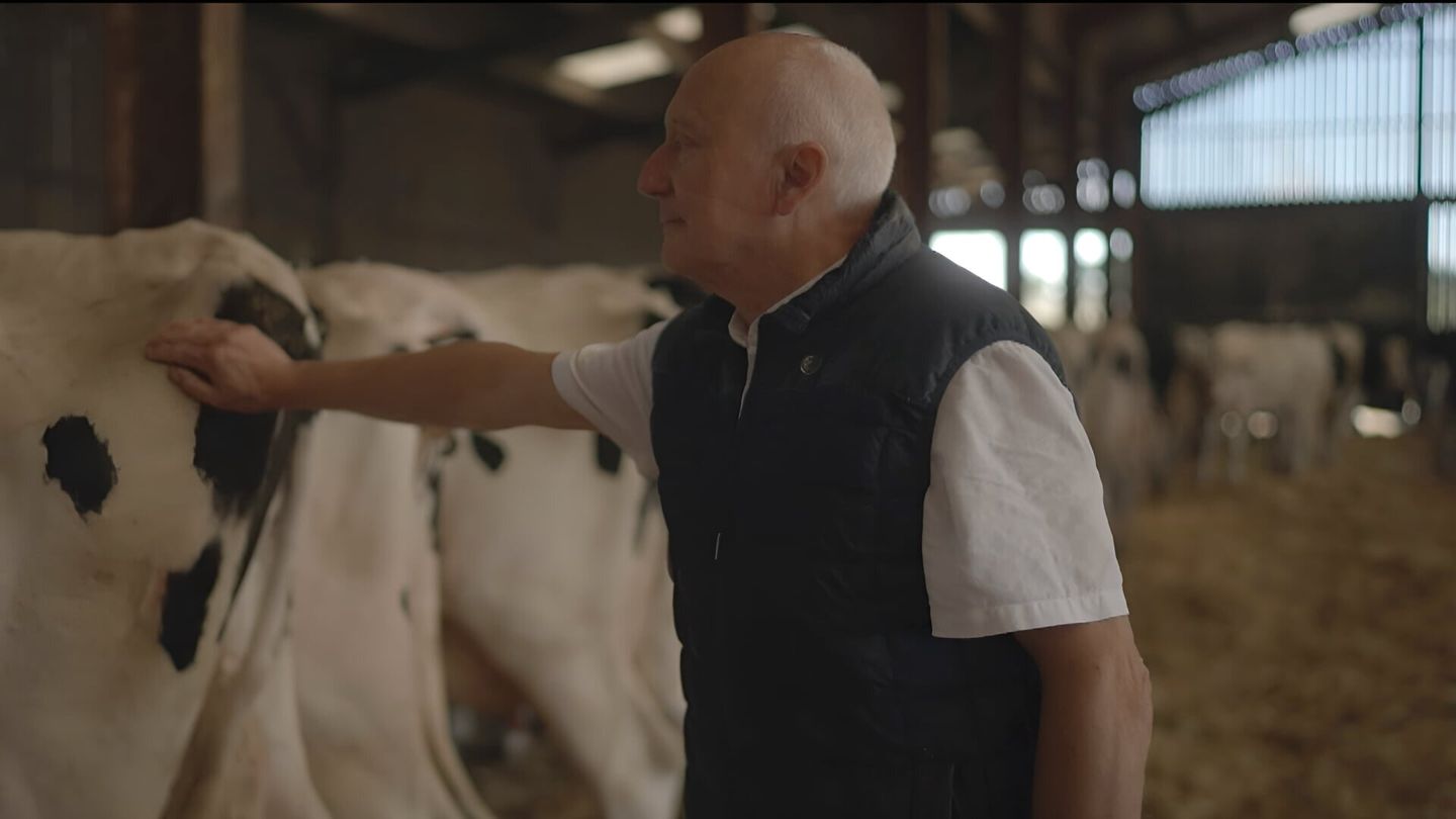 Vache folle, la Bretagne au coeur de la crise