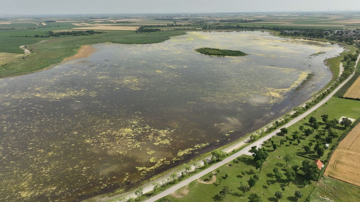 Sécheresse : un lac disparaît en Autriche