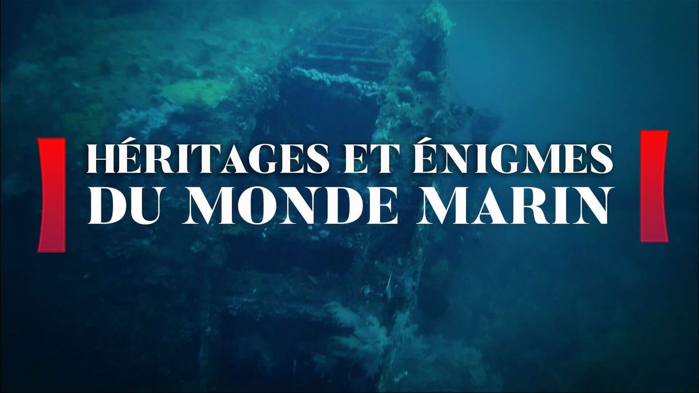 Héritages et énigmes du monde marin