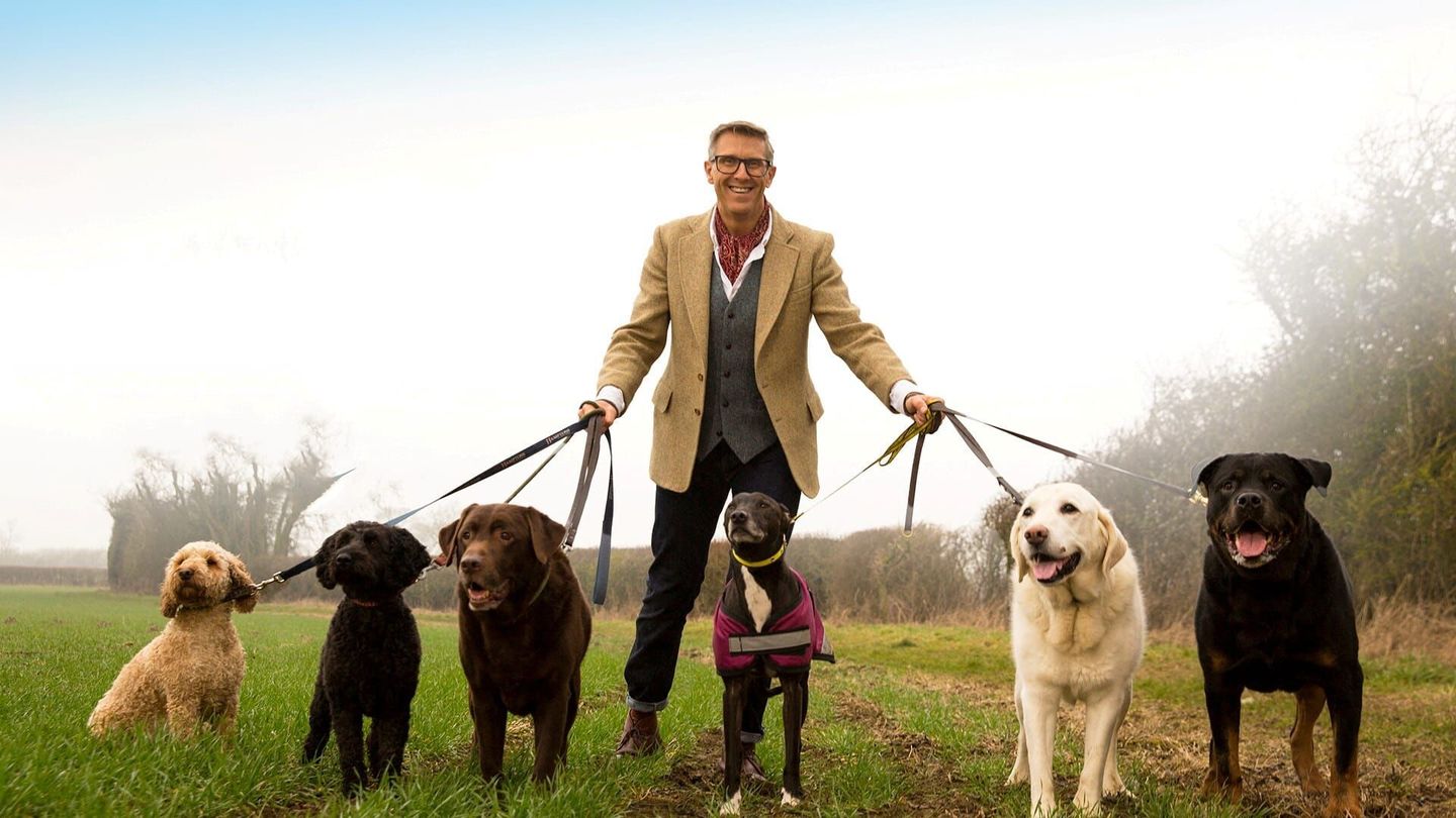 Chiens hors de contrôle : un dresseur à la rescousse