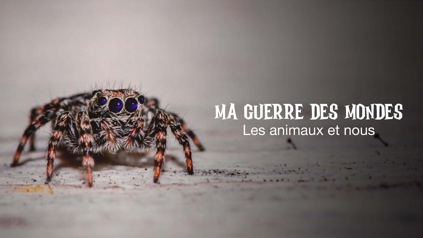 Ma guerre des mondes