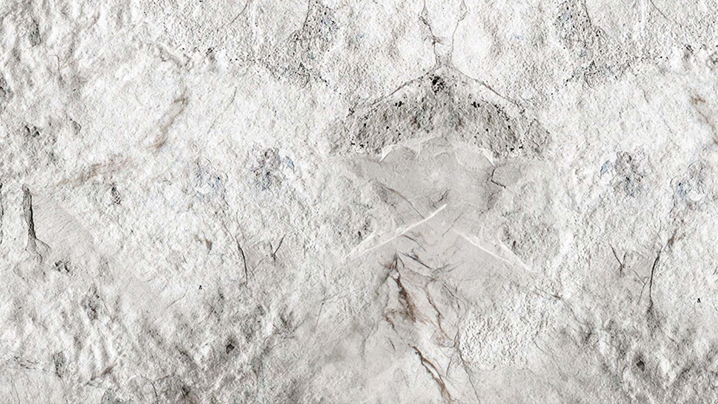 Pack 6 saisons KAAMELOTT