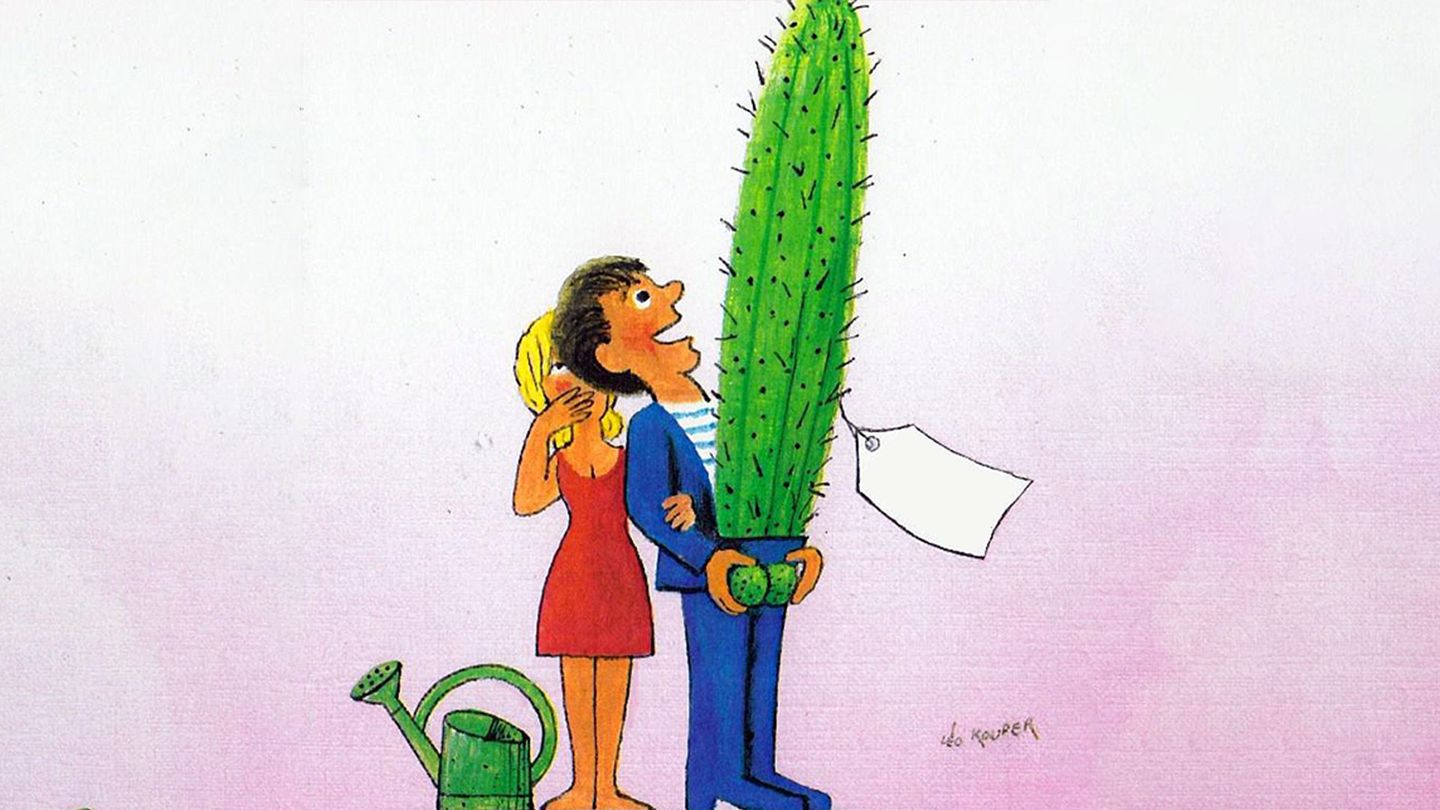 Dossier Toroto