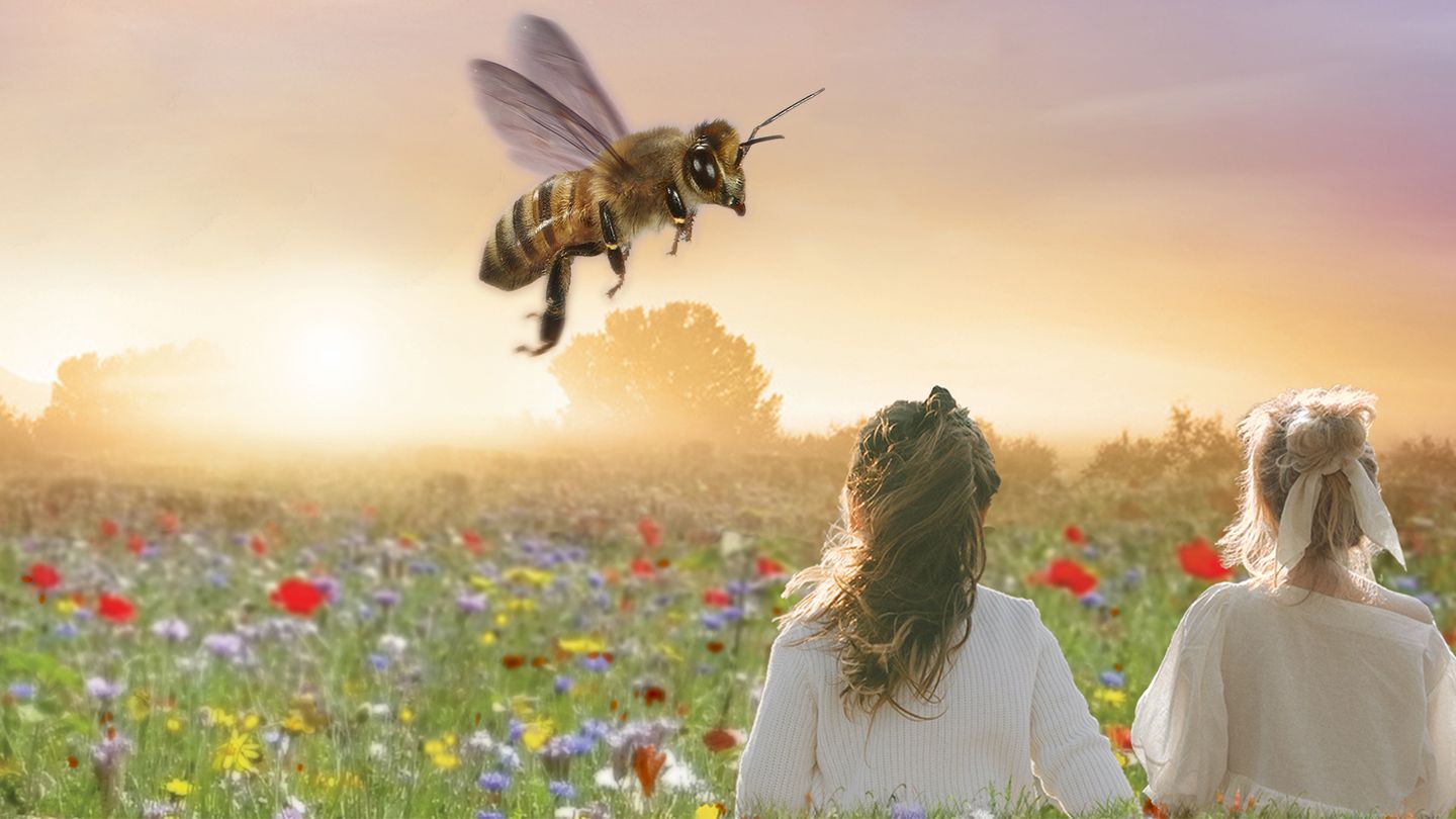 Etre avec les abeilles