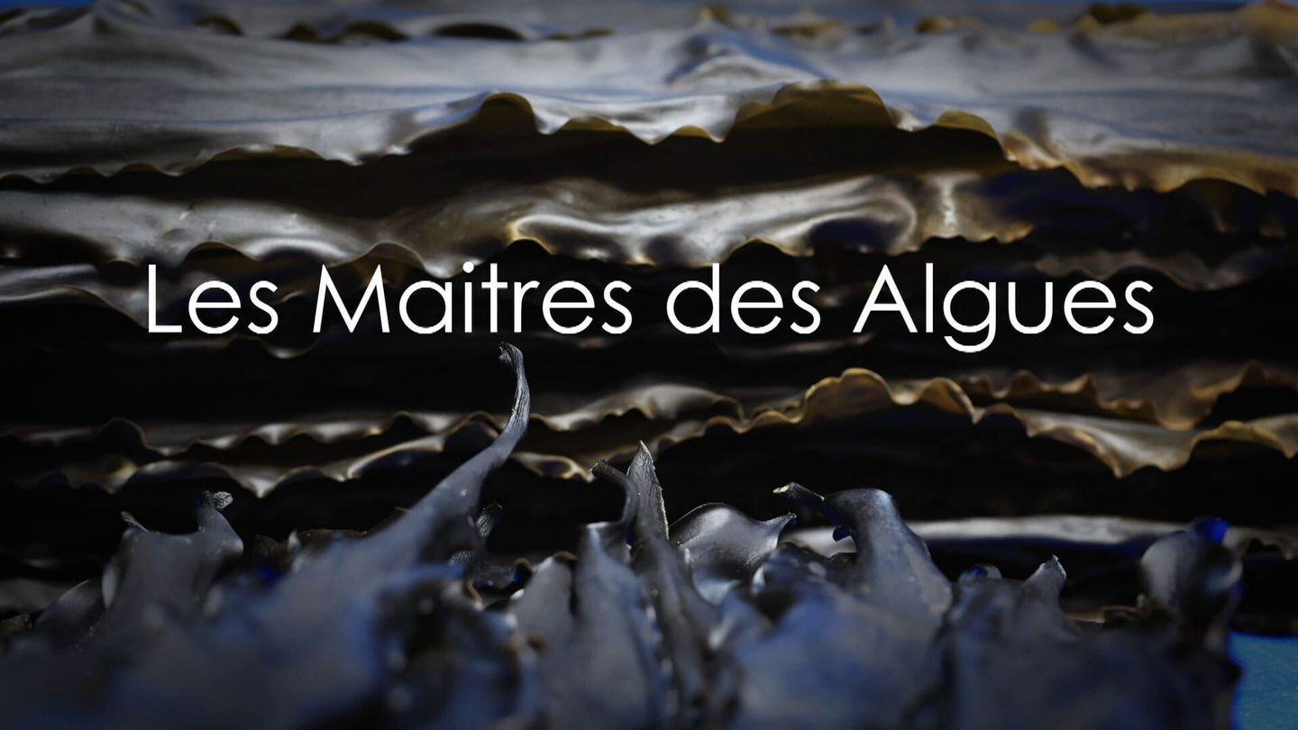 Les maîtres des algues