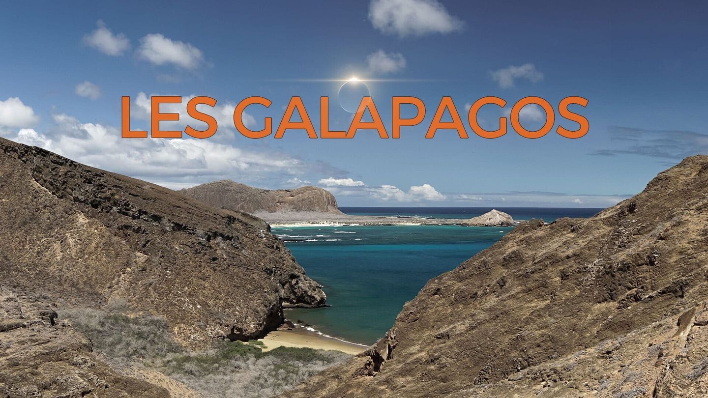 Les Galápagos : Un paradis florissant