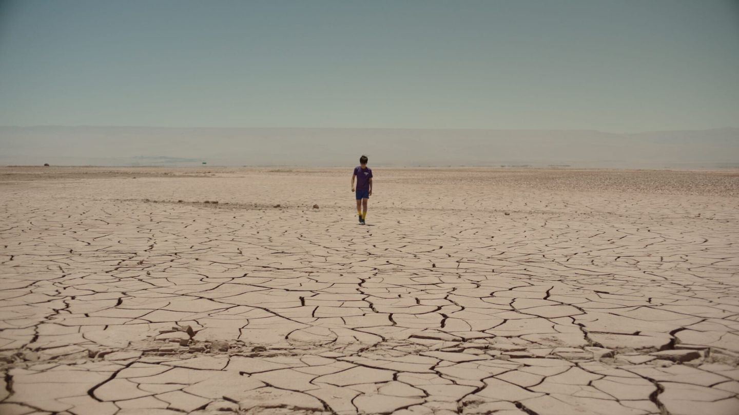 Estrellas del desierto
