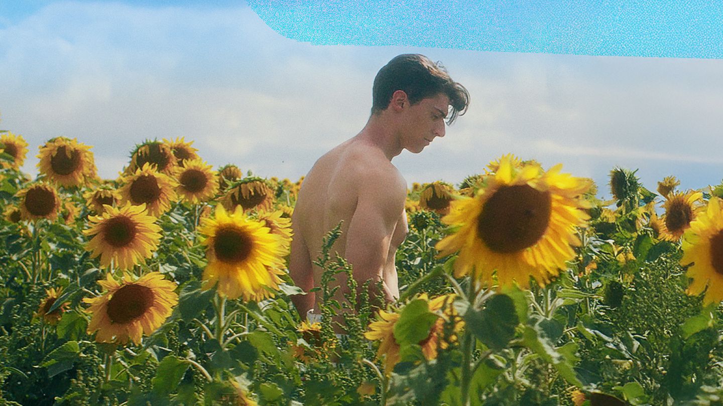 Dans les tournesols