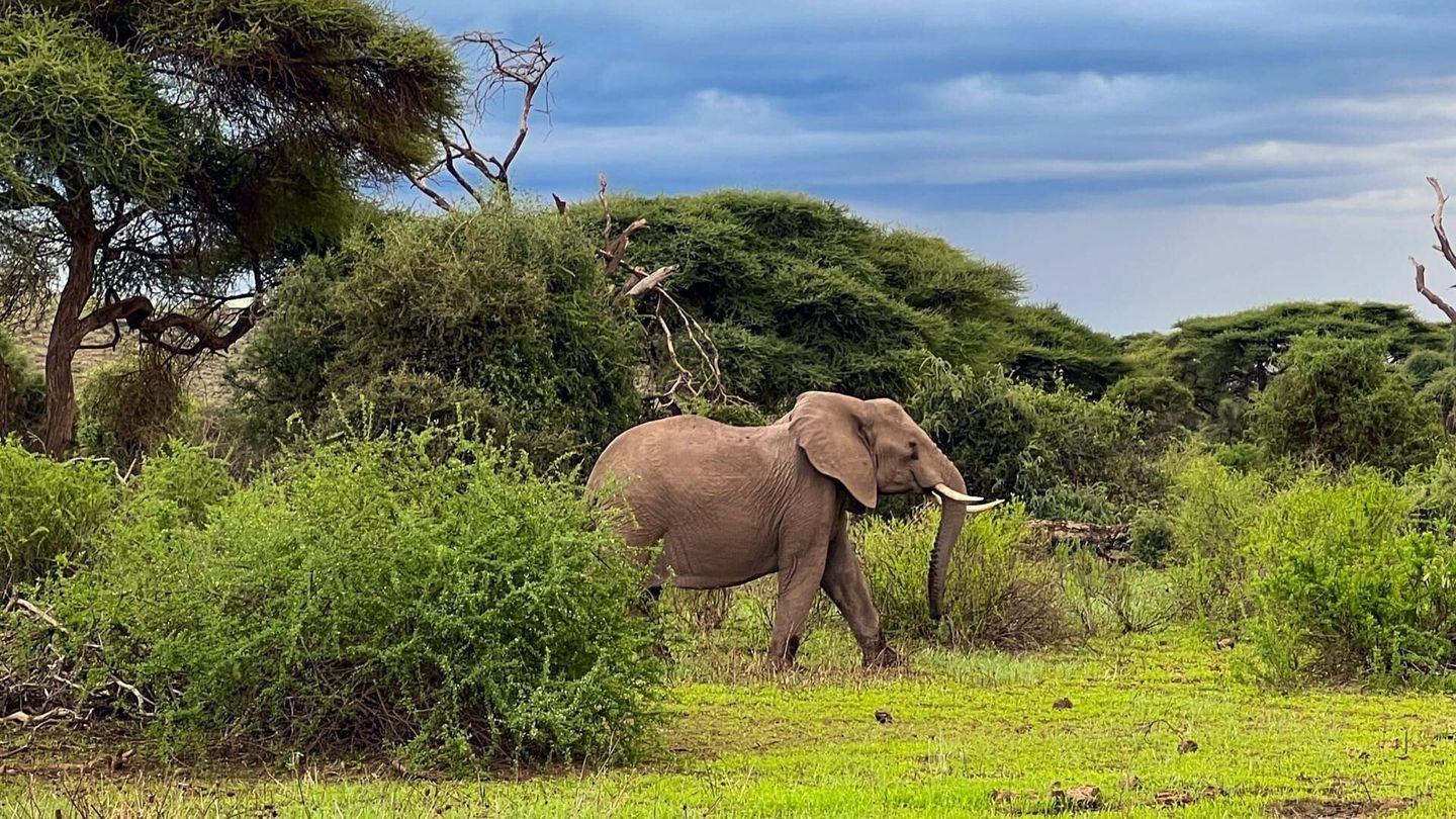 Les sommets d'Afrique