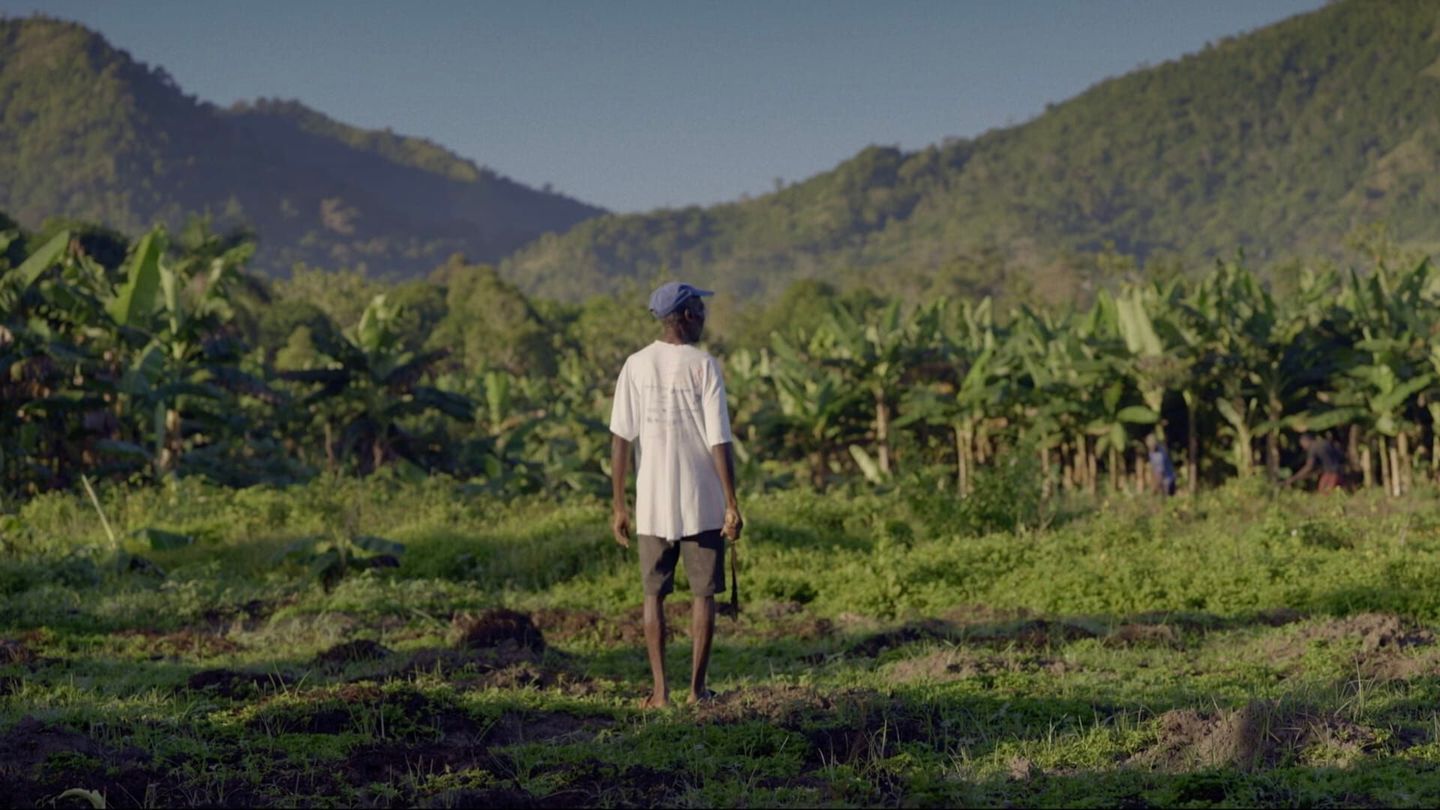 Haïti, la rançon de l'indépendance