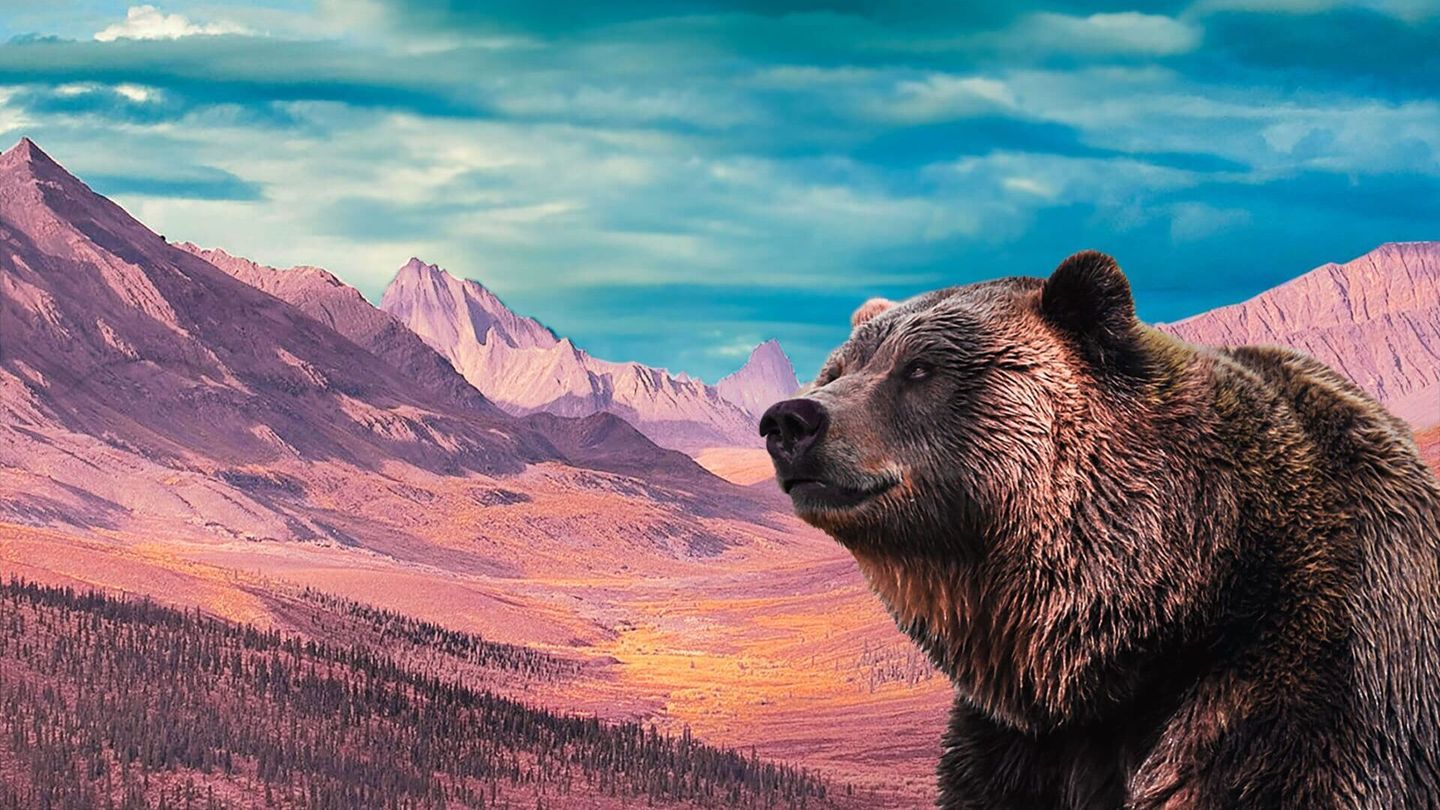 A la reconquête des Rocheuses