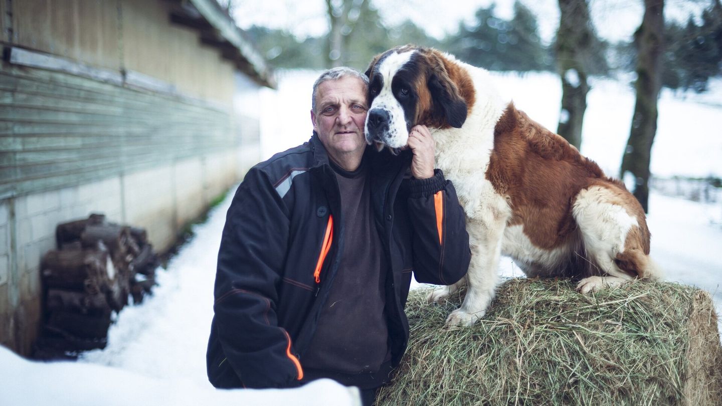 L'amour est dans le pré