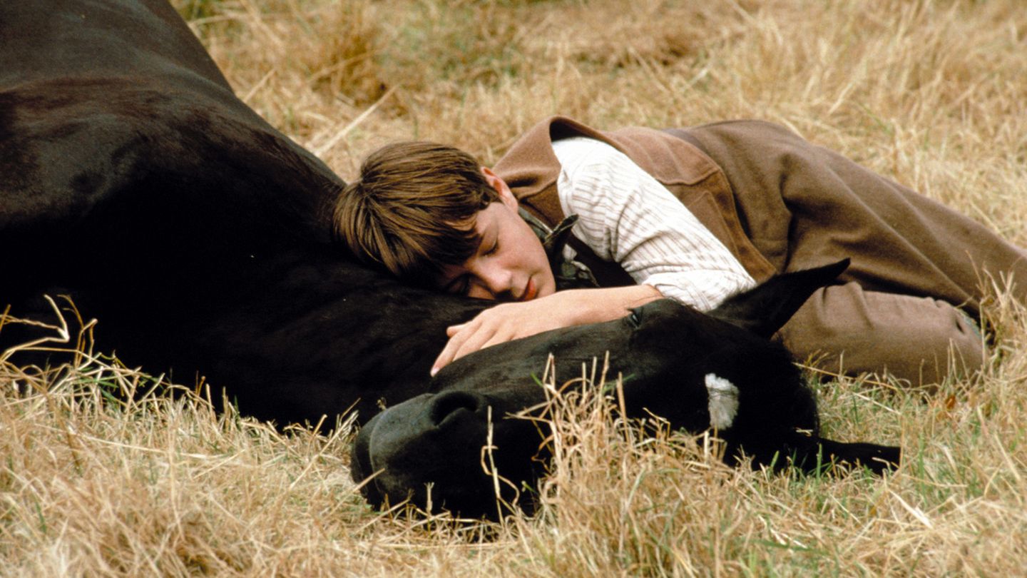 Black Beauty - Trailer