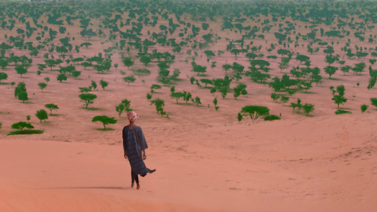 The Great Green Wall - Trailer