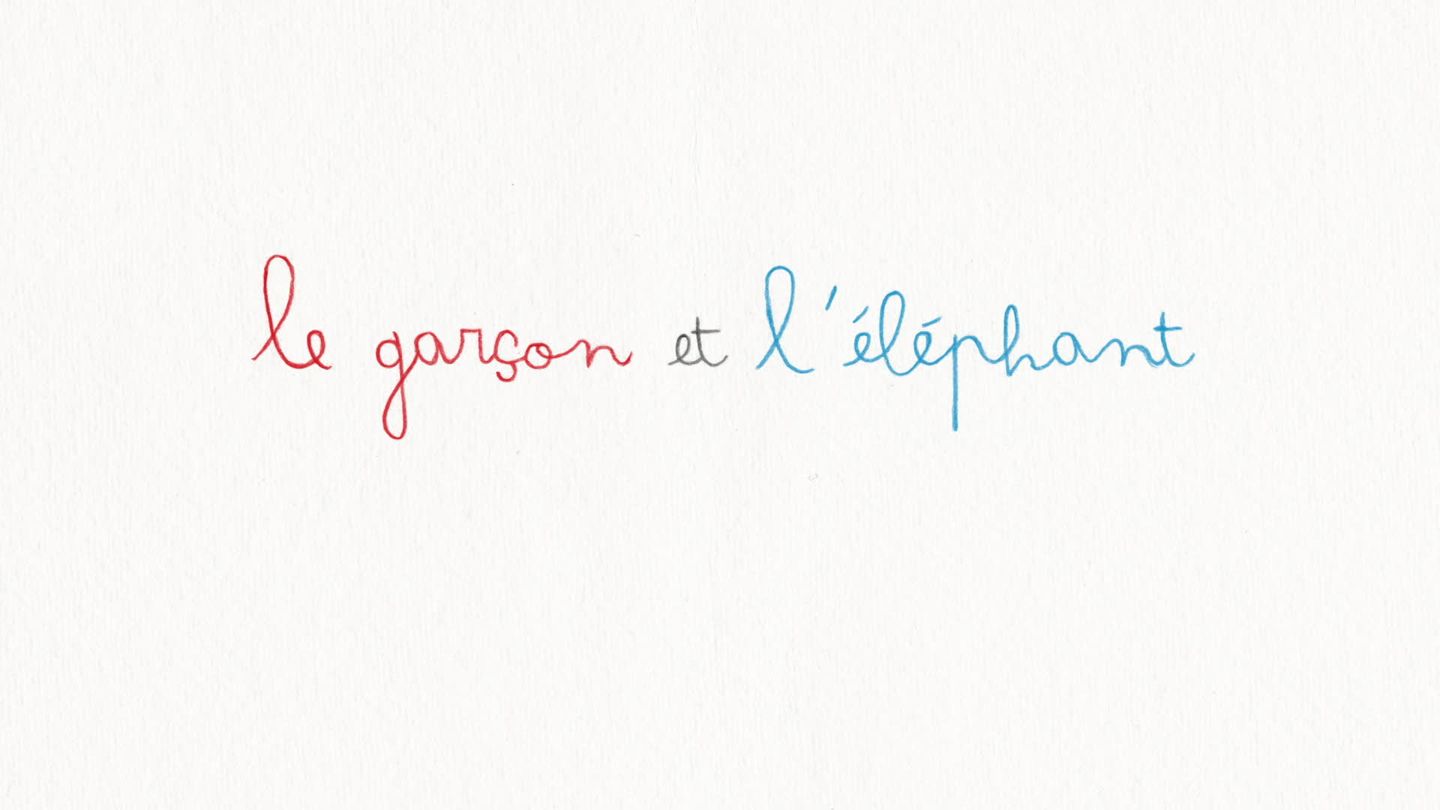 Le garçon et l'éléphant