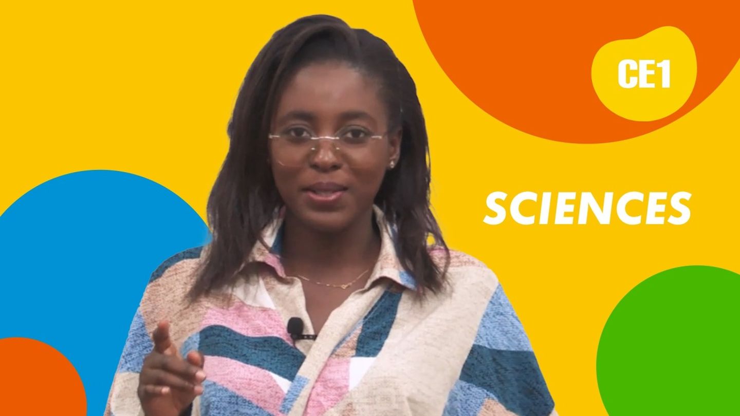 COURS DE CE1 - SCIENCES - L'ENERGIE