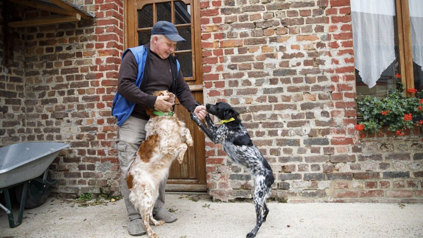 L'amour est dans le pré