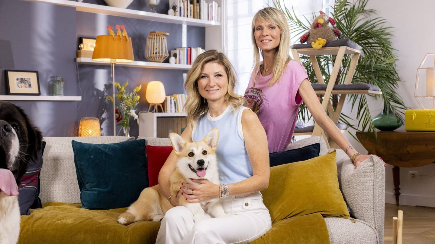 Animaux à adopter : nouvelle famille pour une nouvelle vie