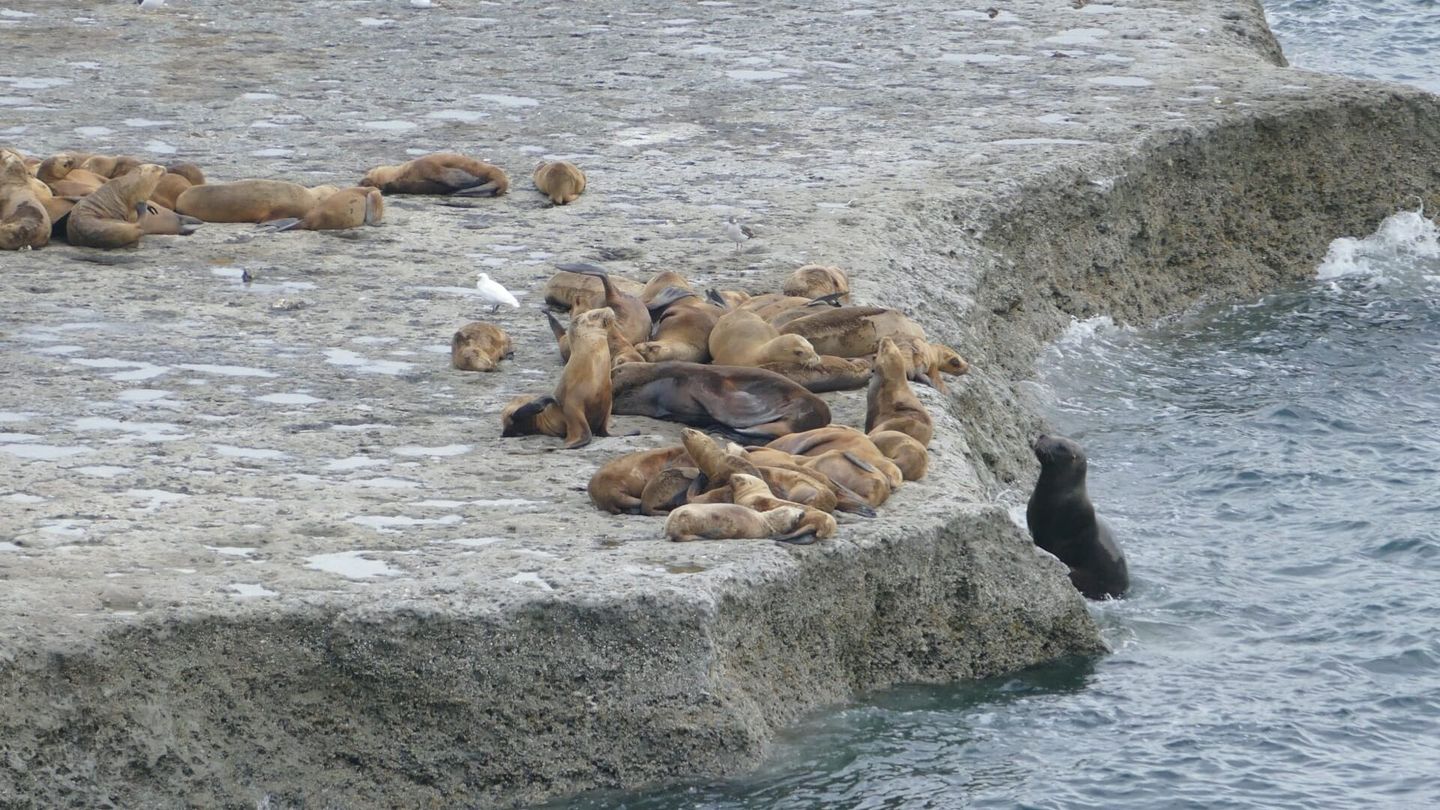 Au fil de l'Argentine