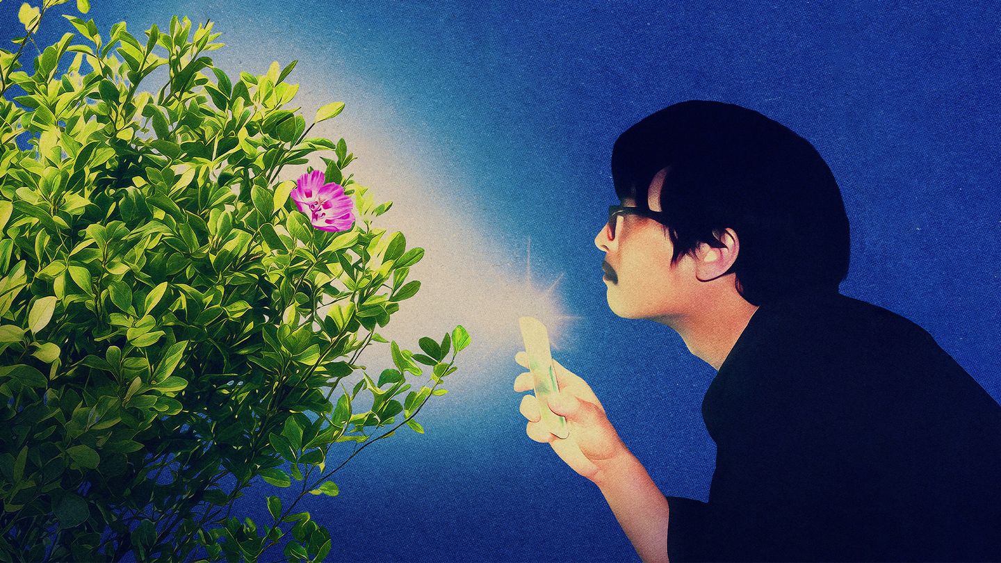 Ce que cette nature te dit - Trailer