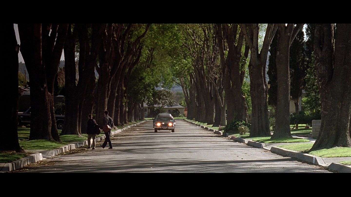 American Beauty - Trailer