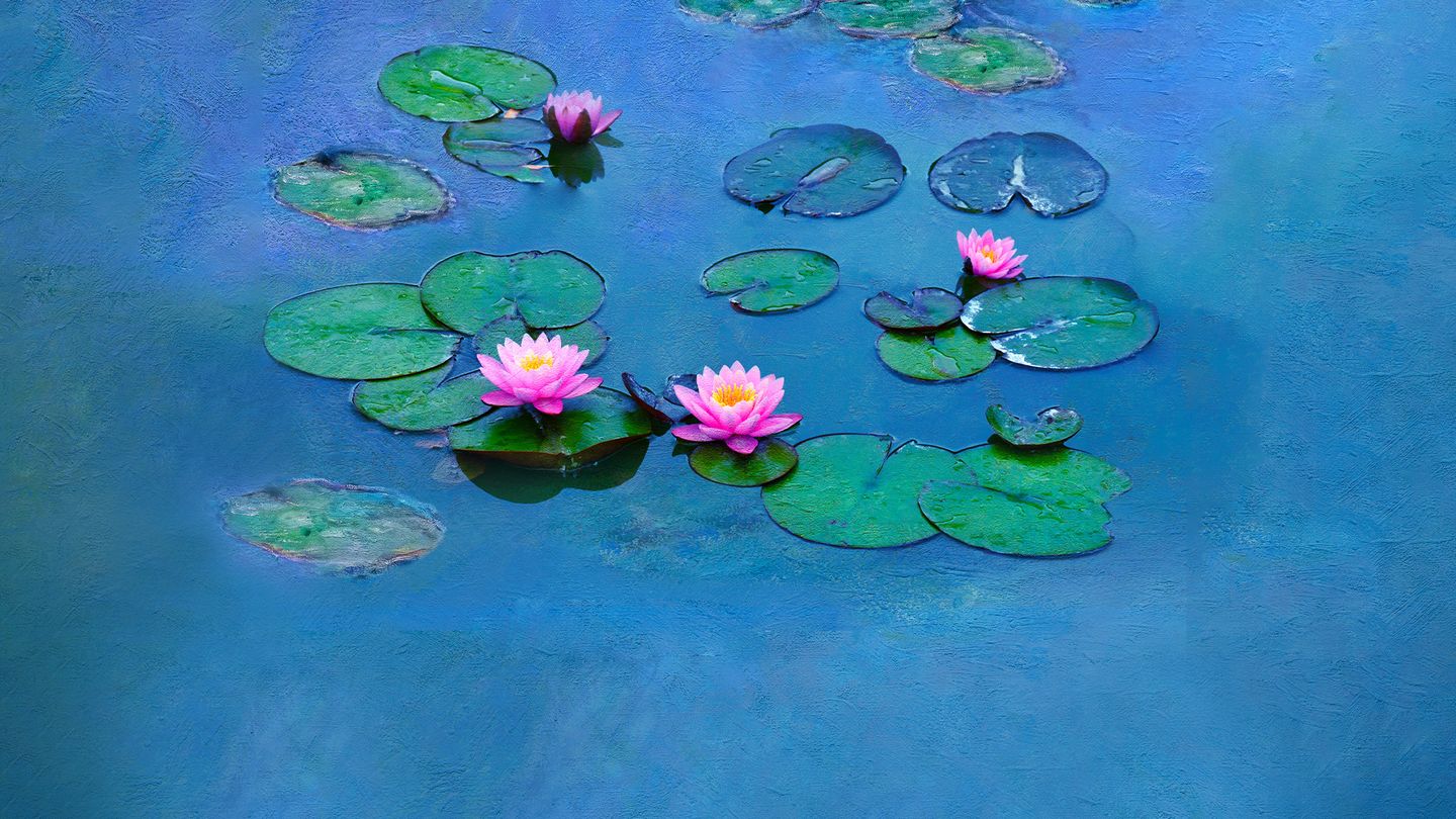Les Nymphéas de Monet : La magie de l'eau et de la lumière