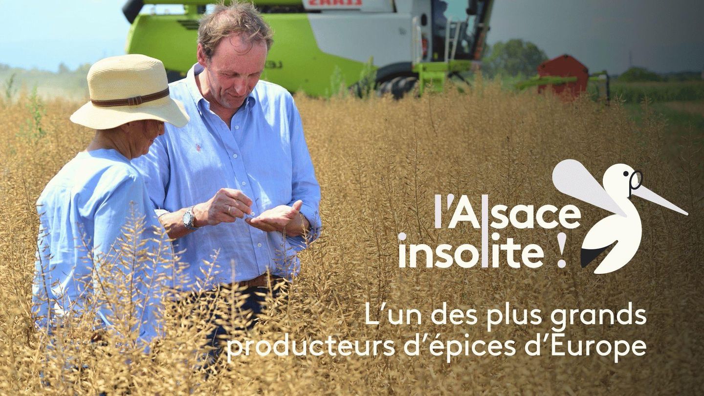L'Alsace insolite