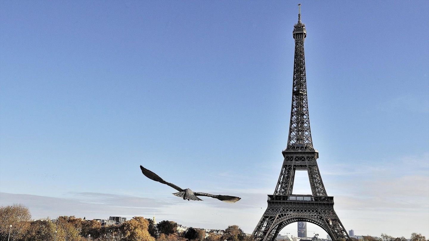 La plus belle ville du monde