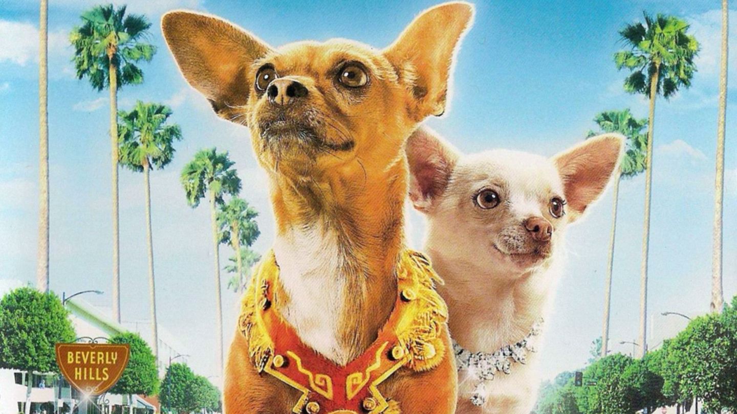 Le chihuahua de Beverly Hills