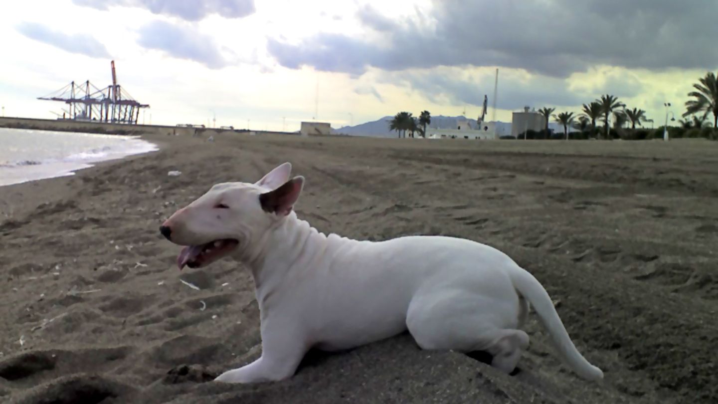 Baxter