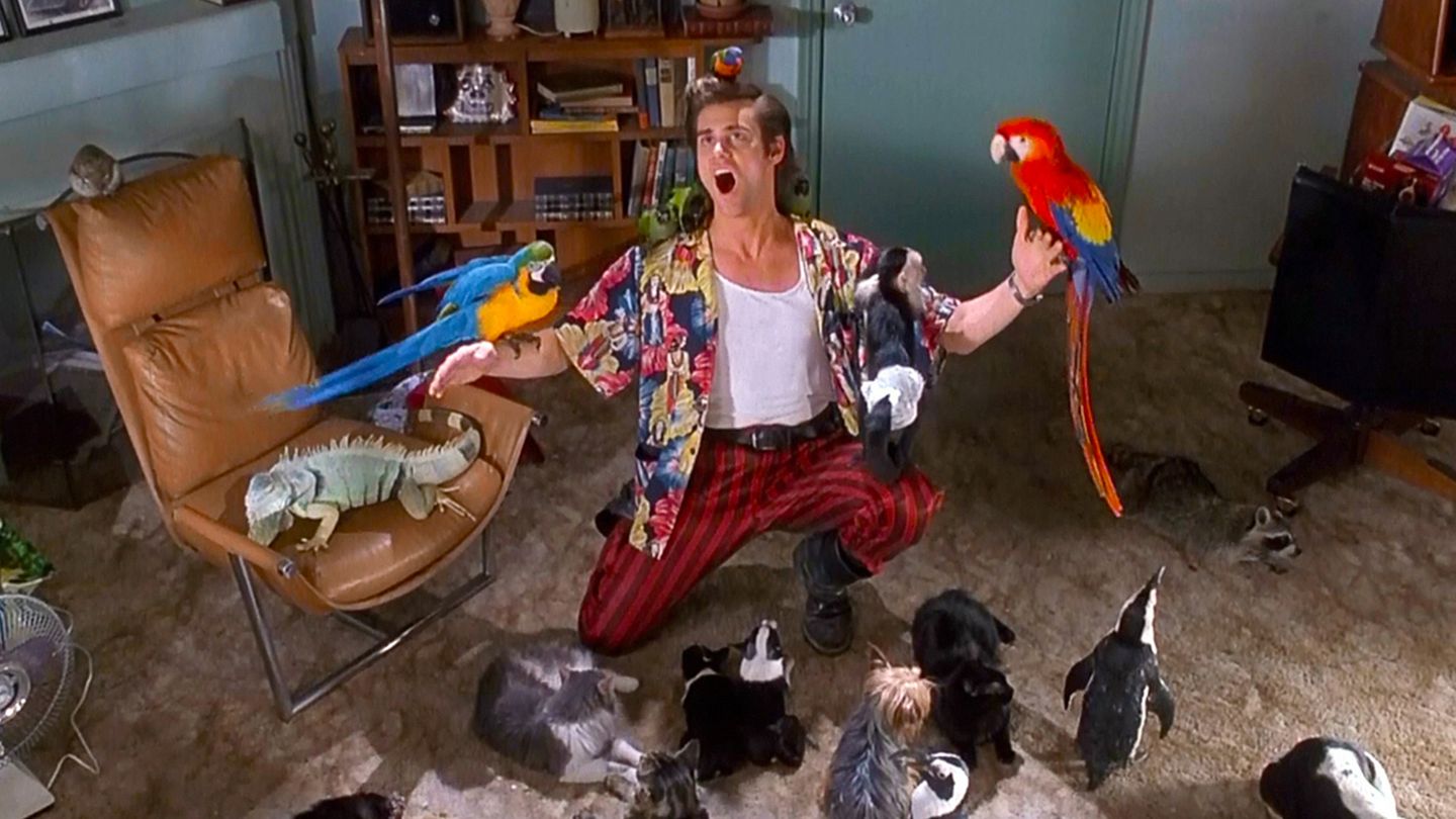 Ace Ventura, détective pour chiens et chats