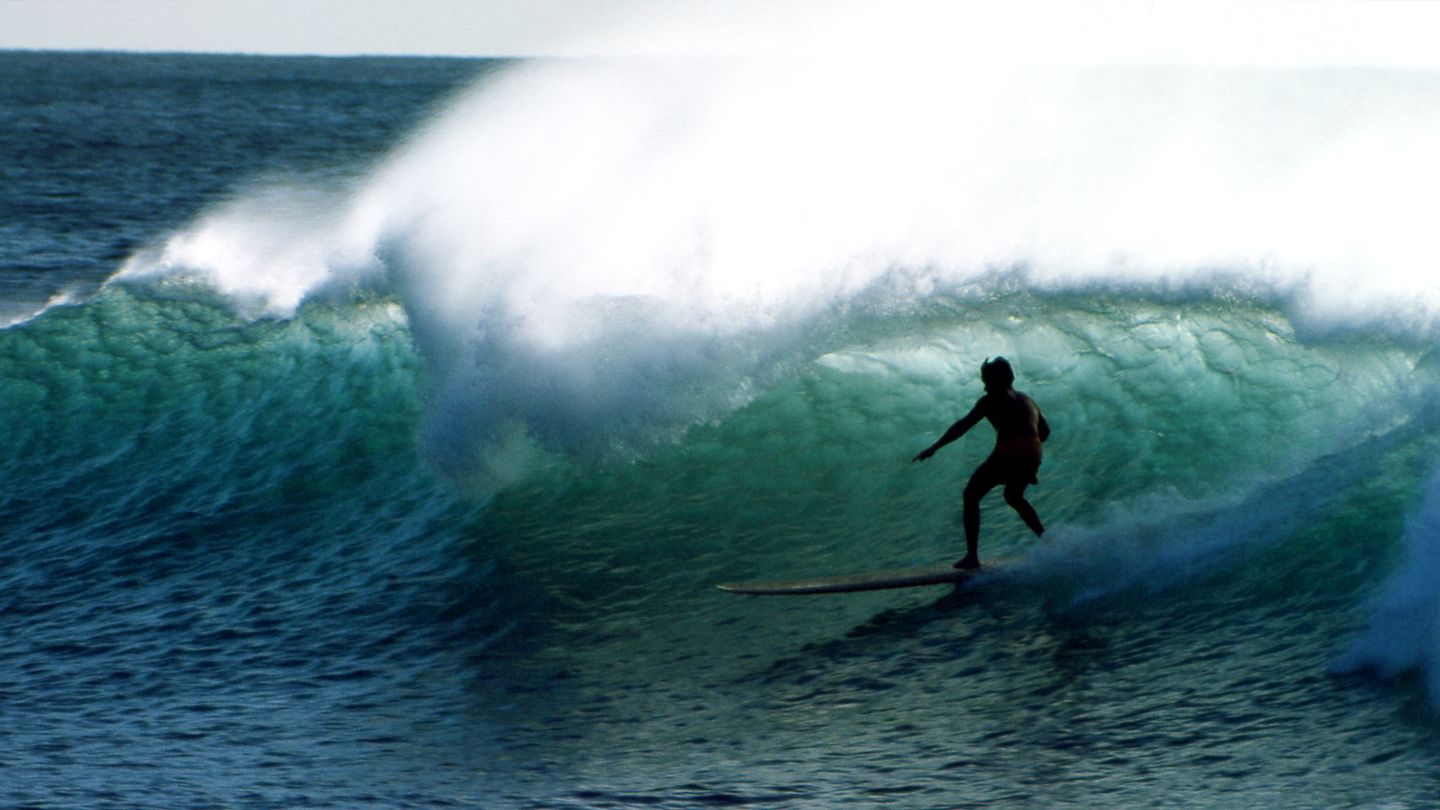 The Endless Summer : l'été sans fin
