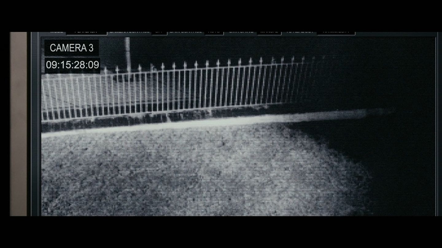Eleven