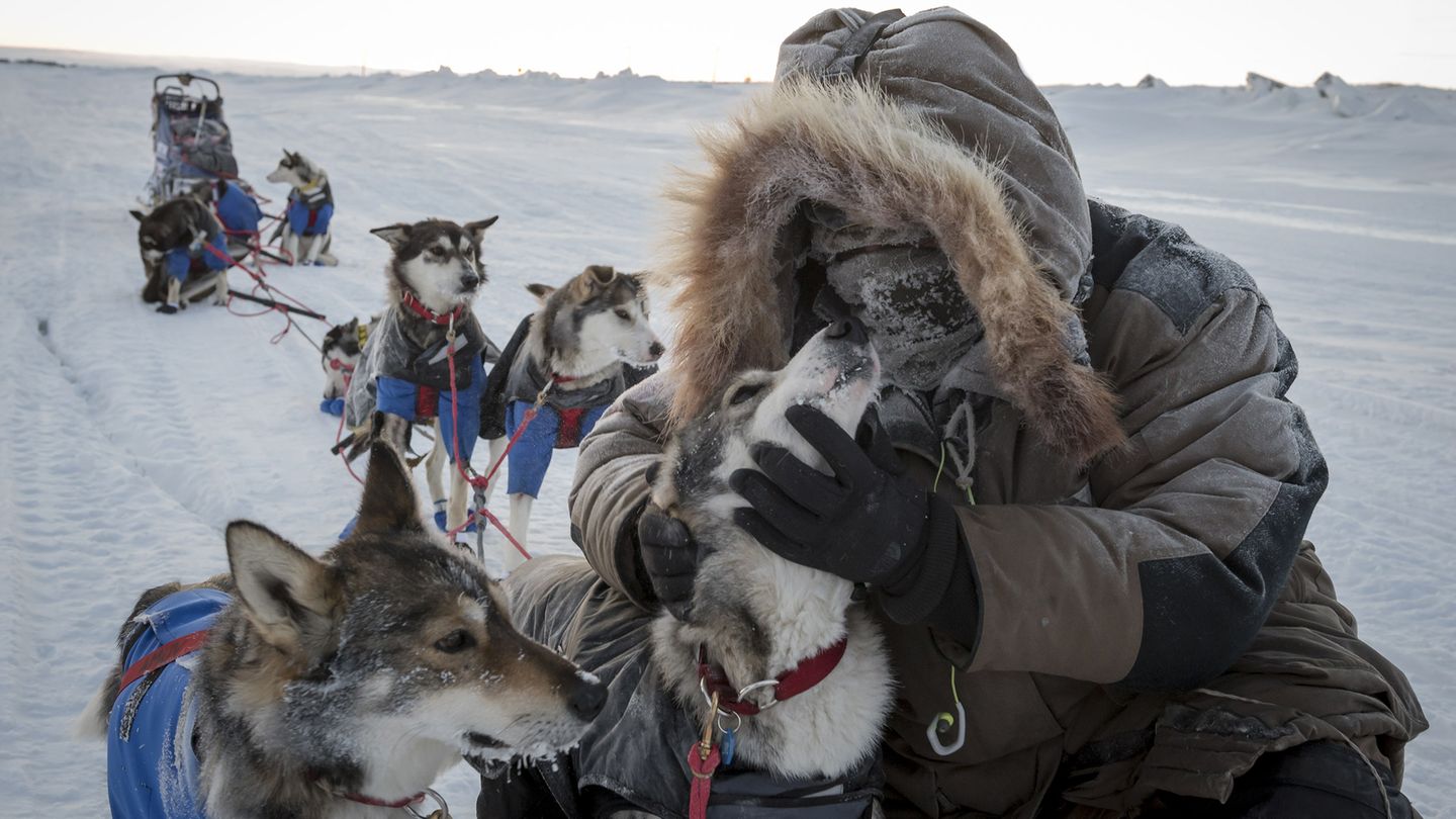 Iditarod, la dernière course de Nicolas Vanier