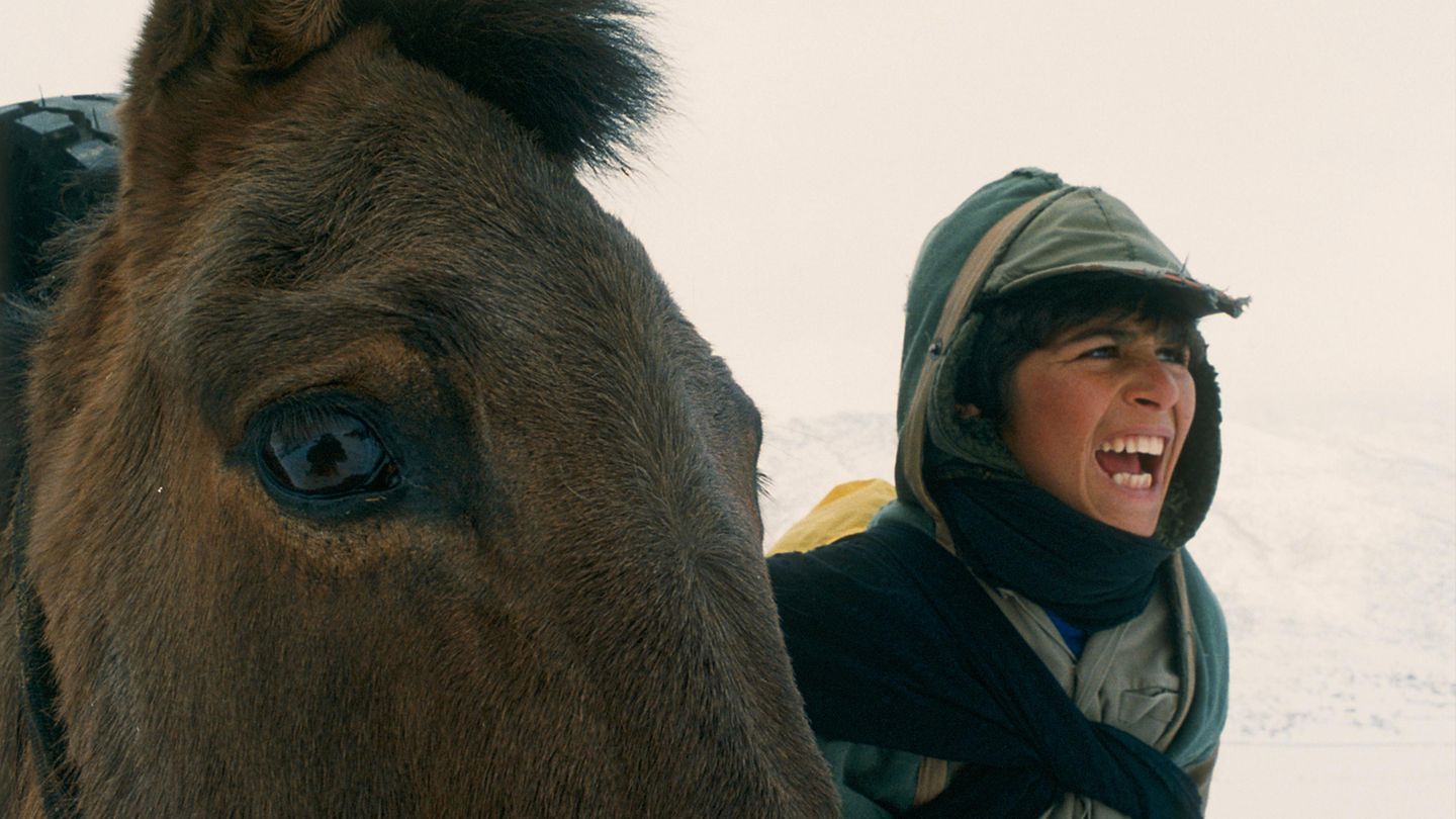 Un temps pour l'ivresse des chevaux