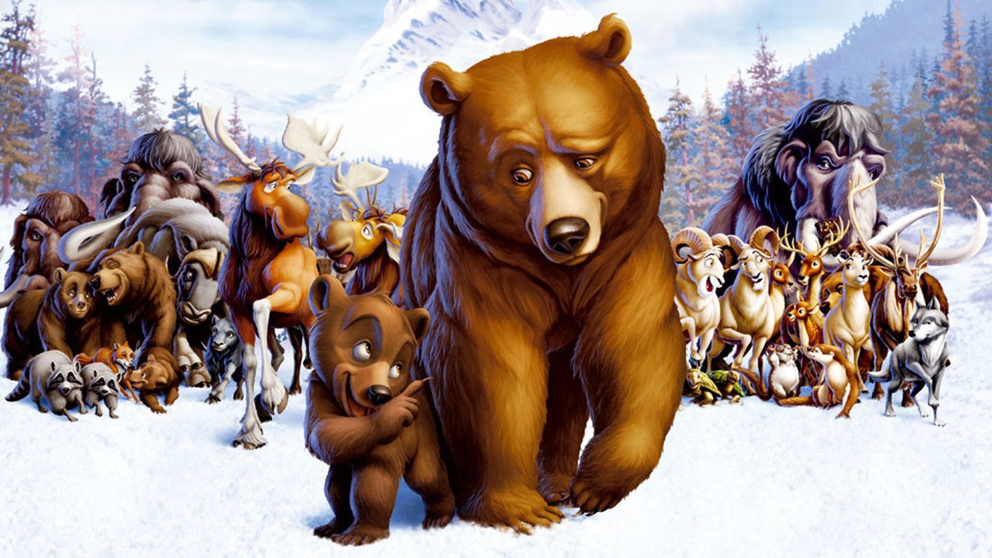 Frère des ours
