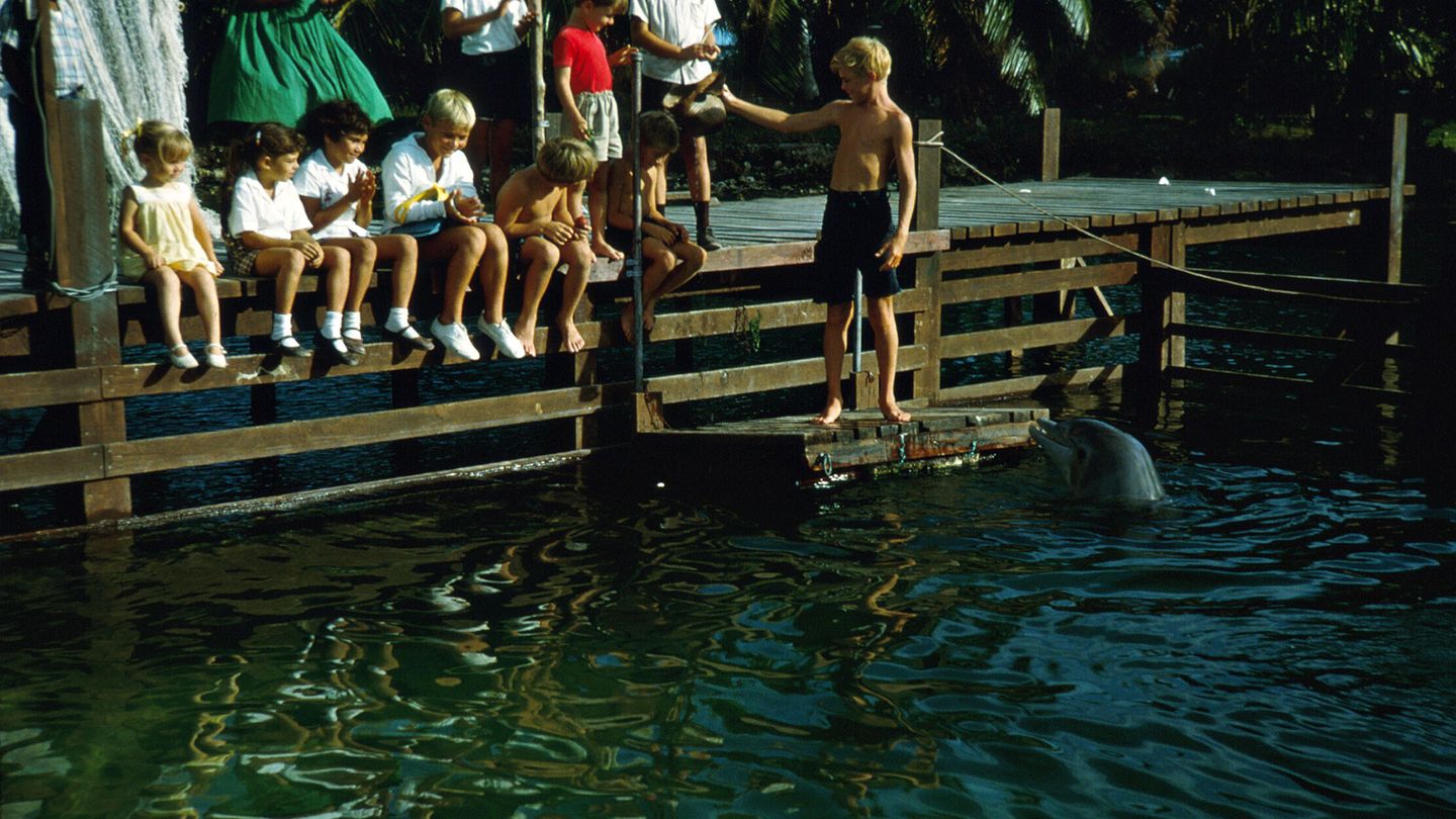 Flipper, aventures en Floride