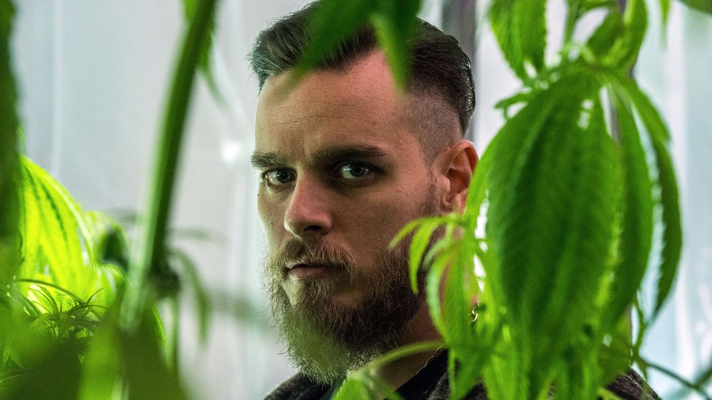 Gomorra