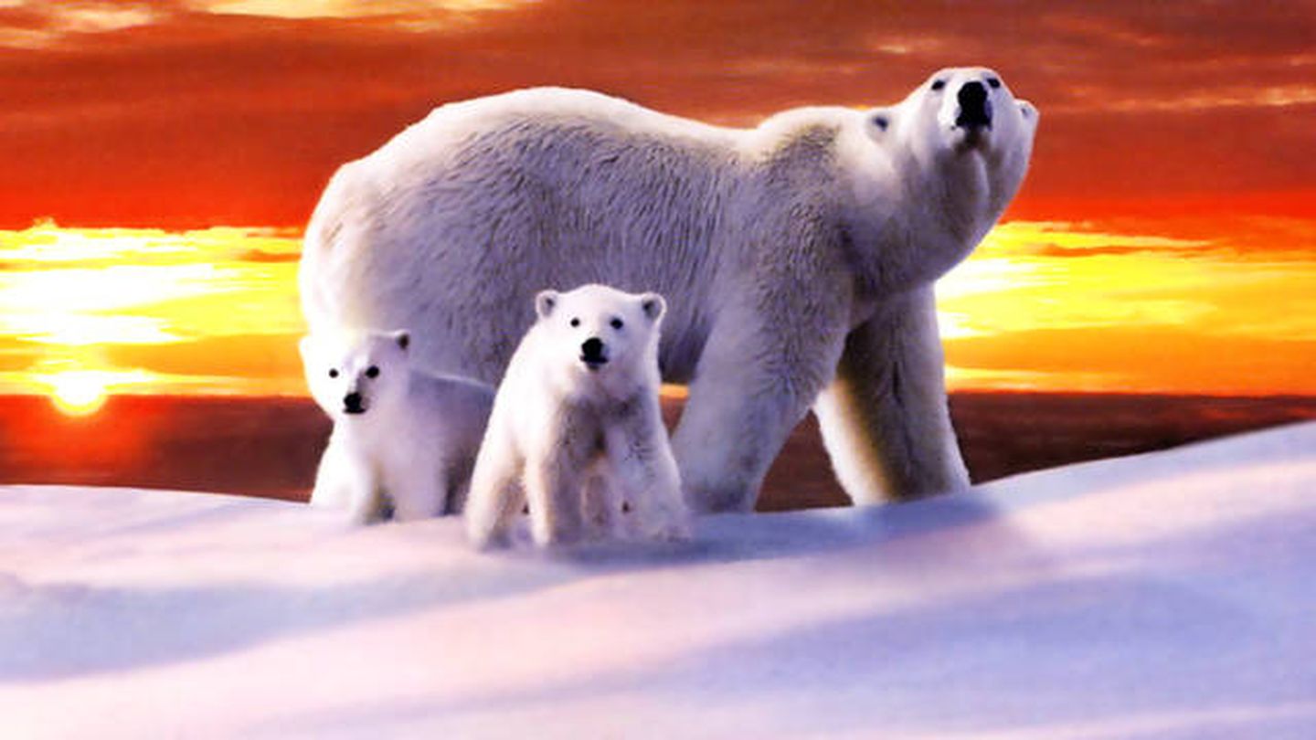La planète blanche